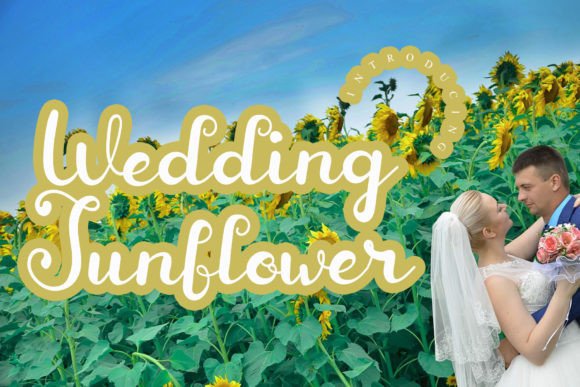 Wedding Sunflower: A Premium Script Font for Scroll-Stopping Brand Content